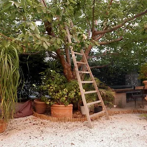 bnb-jardin-vieux-port-panier.fr-provencehotel.com/